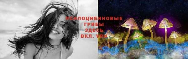 героин Корсаков
