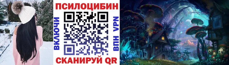 Купить где Кыштым Псилоцибиновые грибы Magic Shrooms